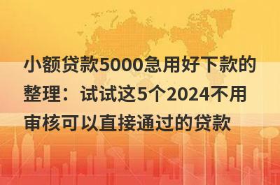 小额贷款5000急用好下款的整理：试试这5个2024不用审核可以直接通过的贷款