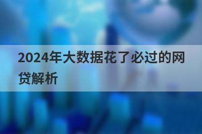 2024年大数据花了必过的网贷解析，这5个都很不错！