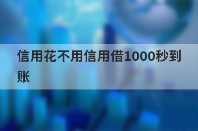 信用花不用信用借1000秒到账，整理5个必下款口子