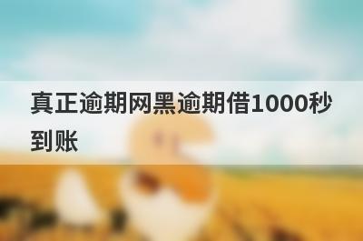 真正逾期网黑逾期借1000秒到账，整理5个必下款口子