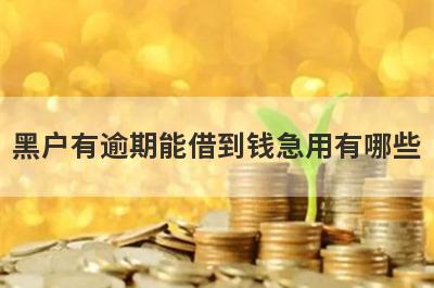 黑户有逾期能借到钱急用有哪些？推荐5个2024年黑户烂户必放款的网贷