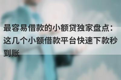 最容易借款的小额贷独家盘点：这几个小额借款平台快速下款秒到账！