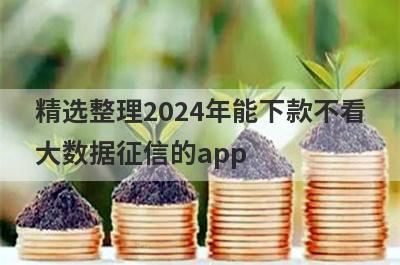 精选整理2024年能下款不看大数据征信的app 这5个平台无回访，秒到账