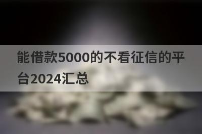 能借款5000的不看征信的平台2024汇总，5个快速借钱渠道，轻松解决急需用钱！