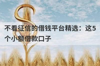 不看征信的借钱平台精选：这5个小额借款口子，轻松借到急需资金！