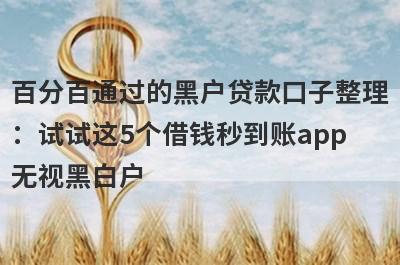 百分百通过的黑户贷款口子整理：试试这5个借钱秒到账app无视黑白户