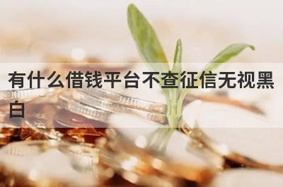 有什么借钱平台不查征信无视黑白 盘点5个借钱平台不查征信无视黑白