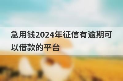 急用钱2024年征信有逾期可以借款的平台？盘点征信有逾期马上到账的口子