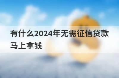 有什么2024年无需征信贷款马上拿钱？这些都比较不错