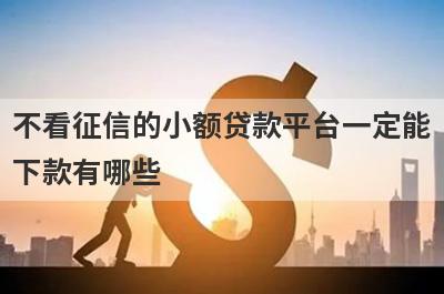 不看征信的小额贷款平台一定能下款有哪些？整理5个2024年不看征信好下款的借款平台