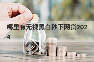 哪里有无视黑白秒下网贷2024？急用钱试试这些小额贷款
