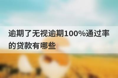 逾期了无视逾期100%通过率的贷款有哪些？这5个贷款容易通过