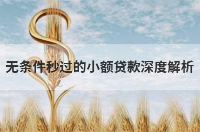 无条件秒过的小额贷款深度解析，这5个小额贷款平台，不仅简单还好通过！