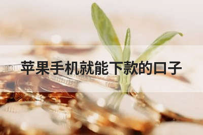 绝对可以借到钱的id贷2025必下款的有哪些？盘点8个靠谱私人微信苹果id贷必过贷款