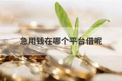 急用钱在哪个平台借呢