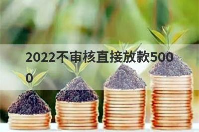2022不审核直接放款5000 这些是轻松借款的口子