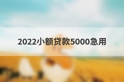 2022小额贷款5000急用 借钱应急5000的可靠平台