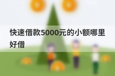 快速借款5000元的小额哪里好借?