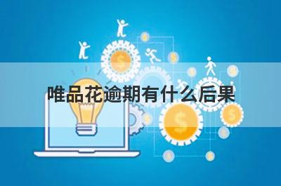 唯品花逾期有什么后果