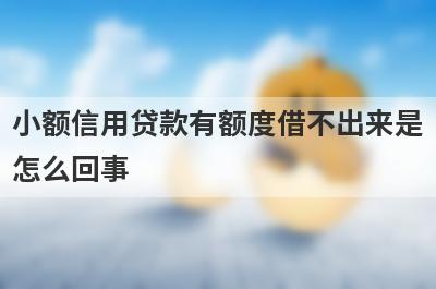 小额信用贷款有额度借不出来是
怎么回事
