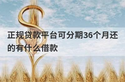 正规贷款平台可分期36个月还的有什么借款?