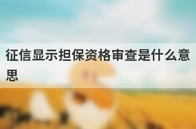 征信显示担保资格审查是什么意思?