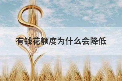 有钱花额度为什么会降低?从这几个方面来看
