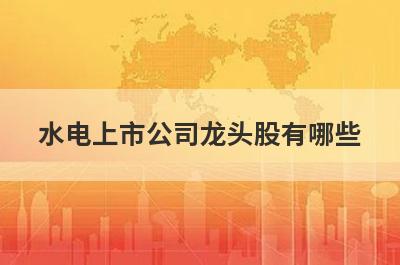 水电上市公司龙头股有哪些