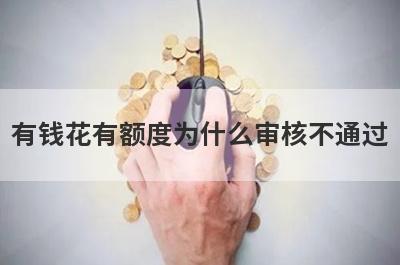 有钱花有额度为什么审核不通过 主要有这几点原因