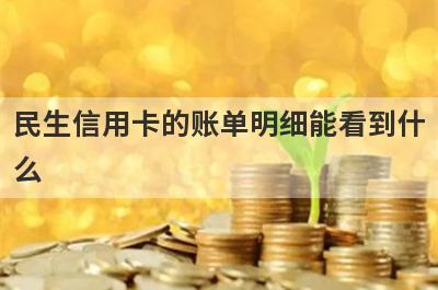 民生信用卡的账单明细能看到什
么
