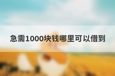 急需1000块钱哪里可以借到?这几个平台借1000元好借