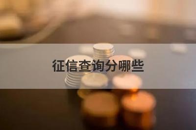 征信查询分哪些?