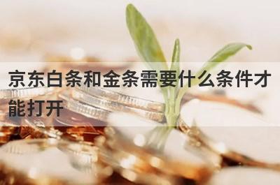 京东白条和金条需要什么条件才
能打开

