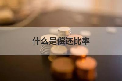 什么是偿还比率,个人住房贷款偿还比率是多少？