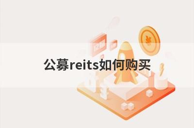 公募reits如何购买