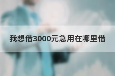 我想借3000元急用在哪里借