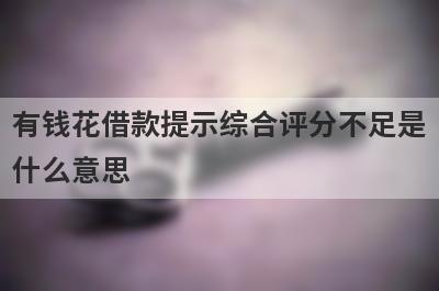 有钱花借款提示综合评分不足是什么意思 