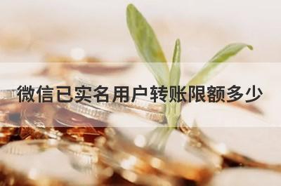 微信已实名用户转账限额多少