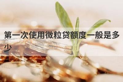 第一次使用微粒贷额度一般是多少 