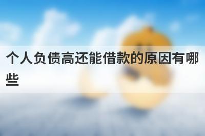 个人负债高还能借款的原因有哪些?