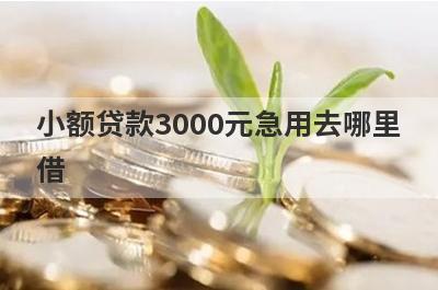 小额贷款3000元急用去哪里借 这几个可以快速到账