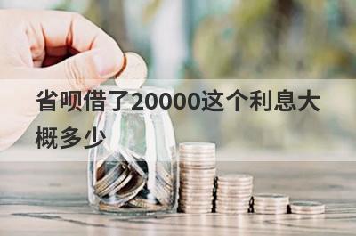 省呗借了20000这个利息大
概多少
