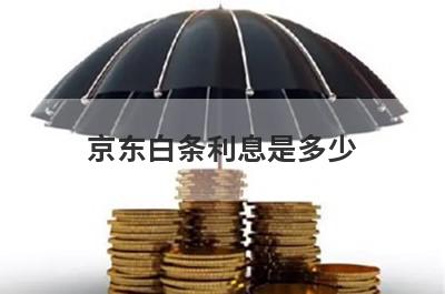 京东白条利息是多少 高不高 