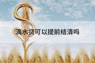 滴水贷可以提前结清吗