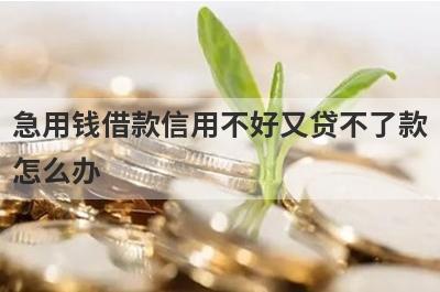 急用钱借款信用不好又贷不了款
怎么办
