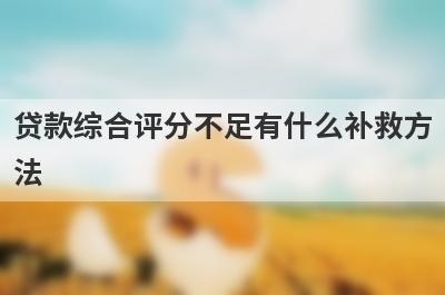 贷款综合评分不足有什么补救方法?