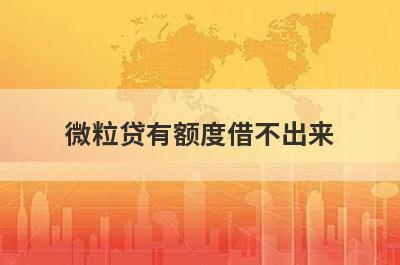 微粒贷有额度借不出来?