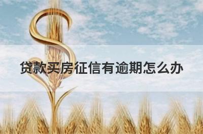 贷款买房征信有逾期怎么办 参考一下这几种方法