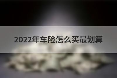 2022年车险怎么买最划算