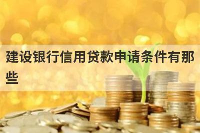 建设银行信用贷款申请条件有那些?